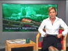 Presentation